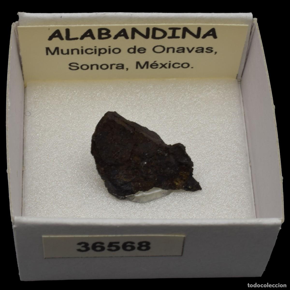 Coleccionismo de minerales: ALABANDINA (Municipio de Onavas, Sonora, M&eacute;xico) #36568
