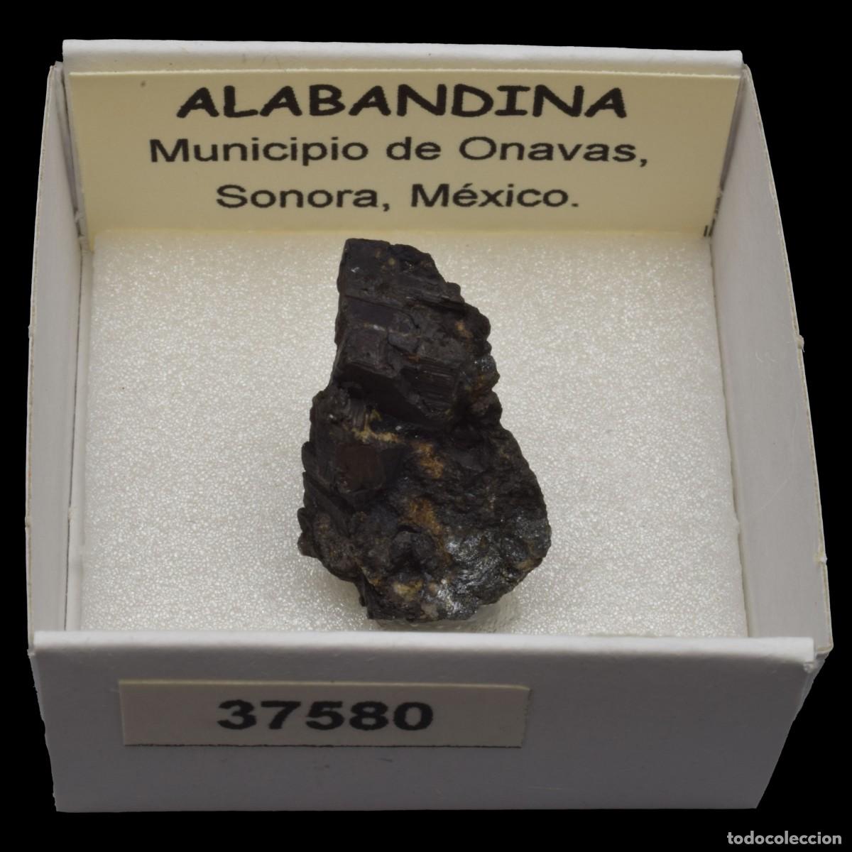 Coleccionismo de minerales: ALABANDINA (Municipio de Onavas, Sonora, M&eacute;xico) #37580