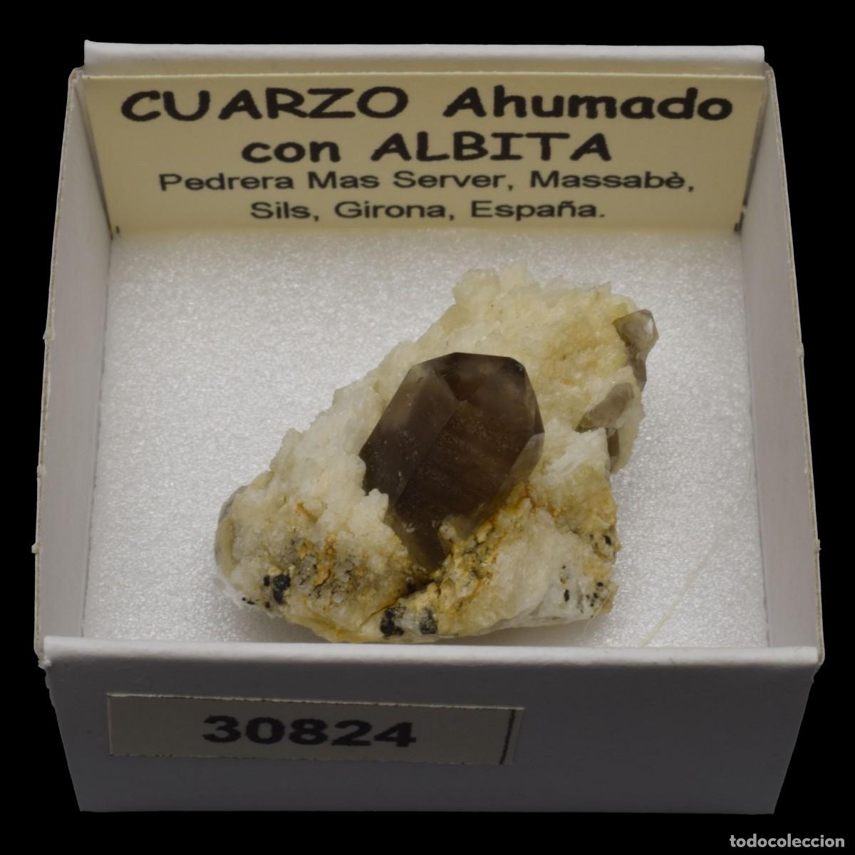 Coleccionismo de minerales: ALBITA xx con CUARZO AHUMADO xx (Pedrera Mas Server, Massabe, Sils, Girona, Espa&ntilde;a) #30824