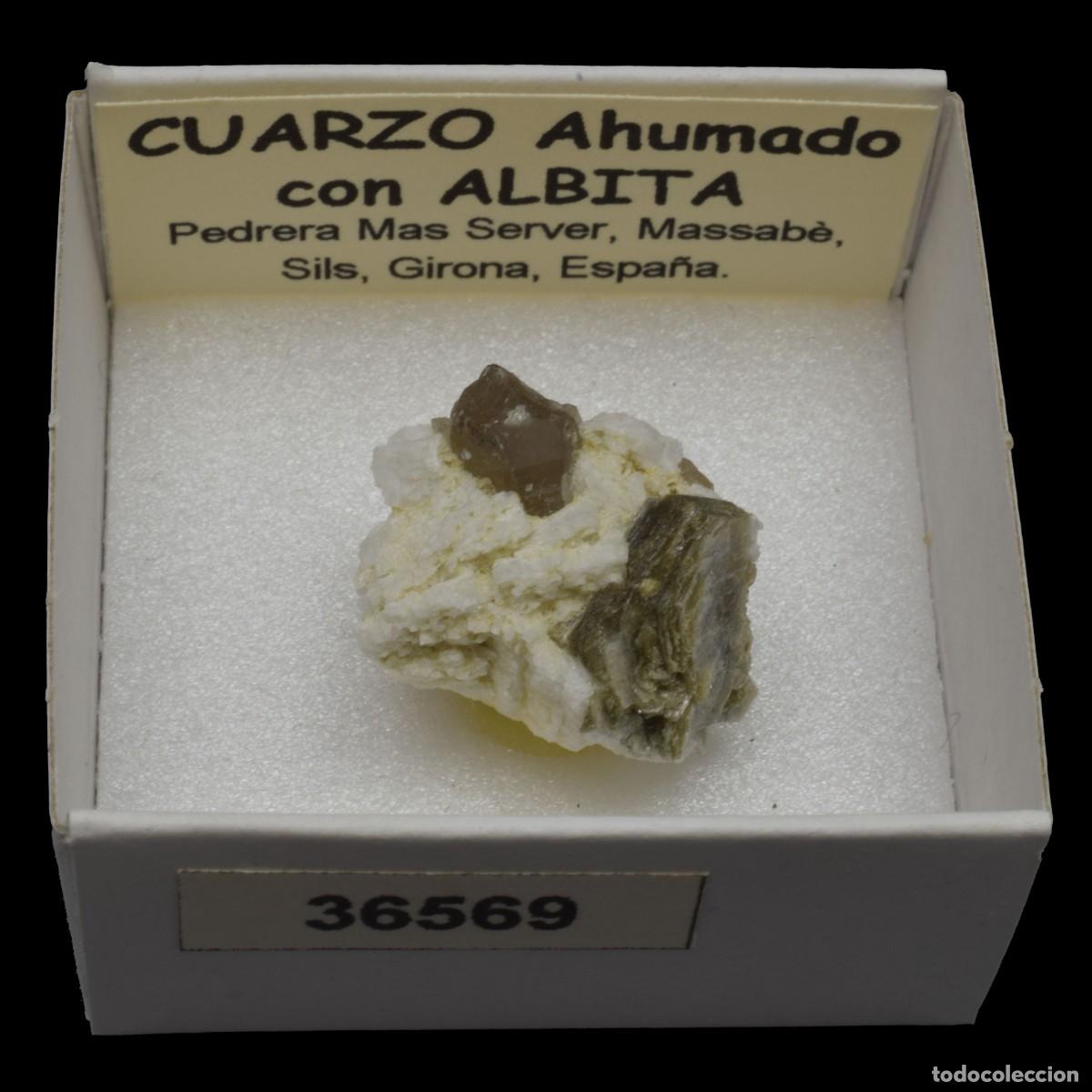 Coleccionismo de minerales: ALBITA xx con CUARZO AHUMADO xx (Pedrera Mas Server, Massabe, Sils, Girona, Espa&ntilde;a) #36569