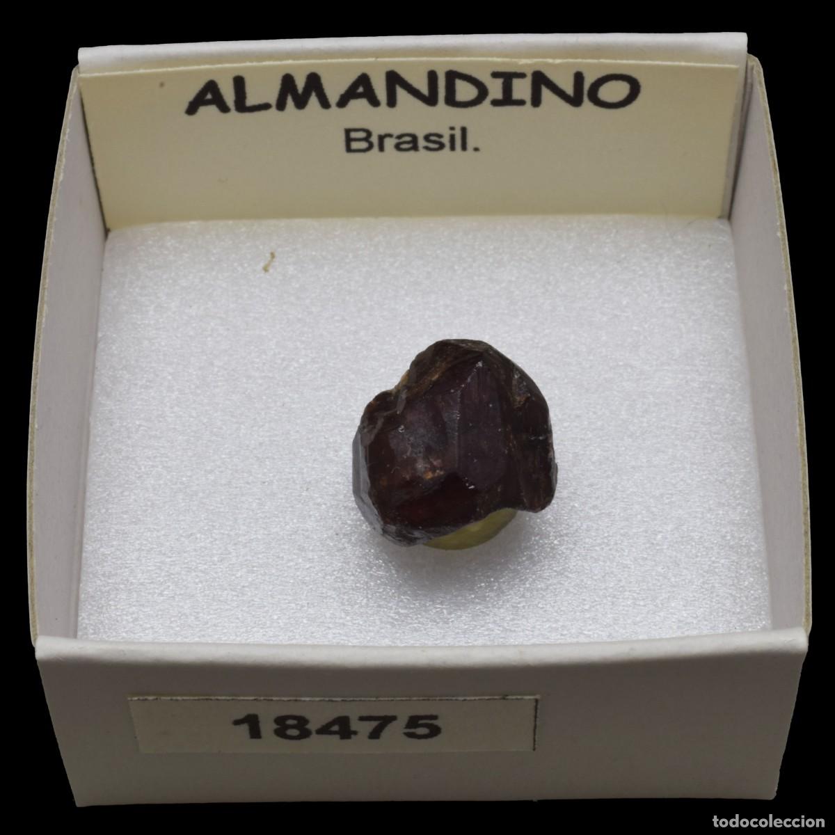 Coleccionismo de minerales: ALMANDINO Cristal (Brasil) #18475