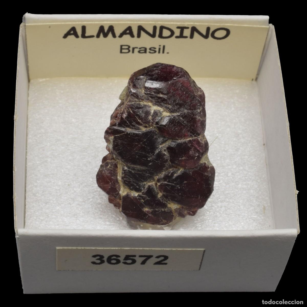 Coleccionismo de minerales: ALMANDINO Cristal (Brasil) #36572