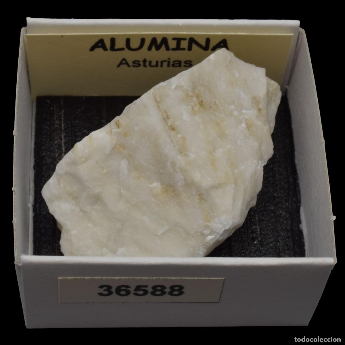 Collectionnisme de min&eacute;raux: ALUMINA (Asturias, Espa&ntilde;a) #36588