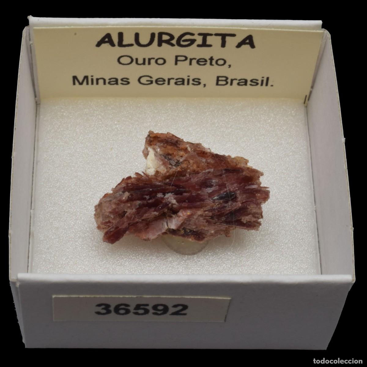 Coleccionismo de minerales: ALURGITA (Ouro Preto, Minas Gerais, Brasil) #36592