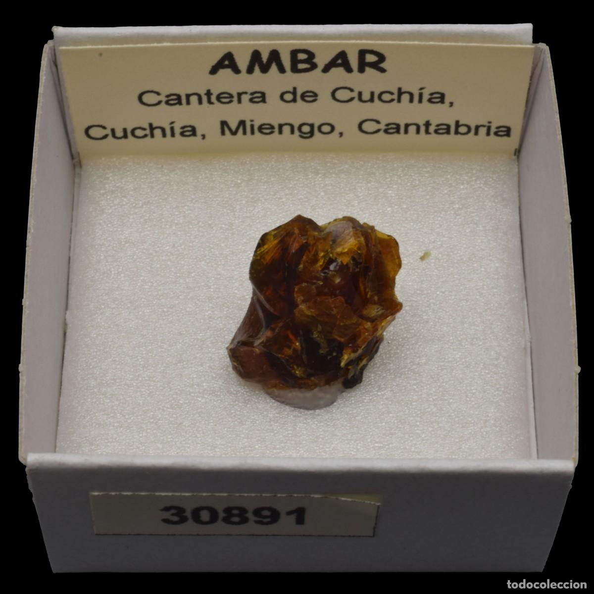 Coleccionismo de minerales: AMBAR (Cantera de Cuchia, Cuchia, Miengo, Cantabria, Espa&ntilde;a) #30891