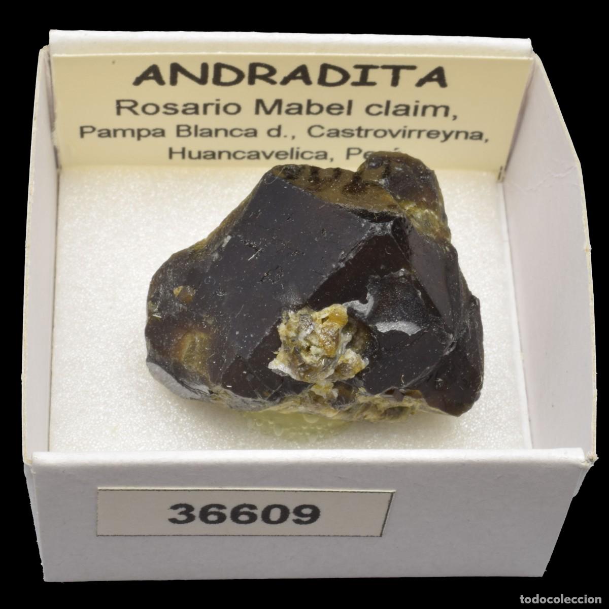 Coleccionismo de minerales: ANDRADITA (Rosario Mabel claim, Pampa Blanca dist., Huancavelica, Peru) #36609