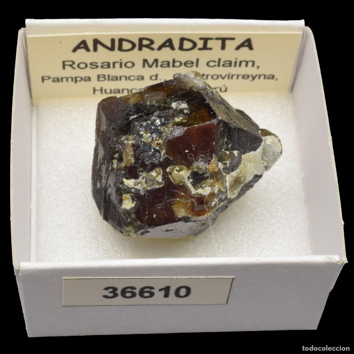 Coleccionismo de minerales: ANDRADITA (Rosario Mabel claim, Pampa Blanca dist., Huancavelica, Peru) #36610