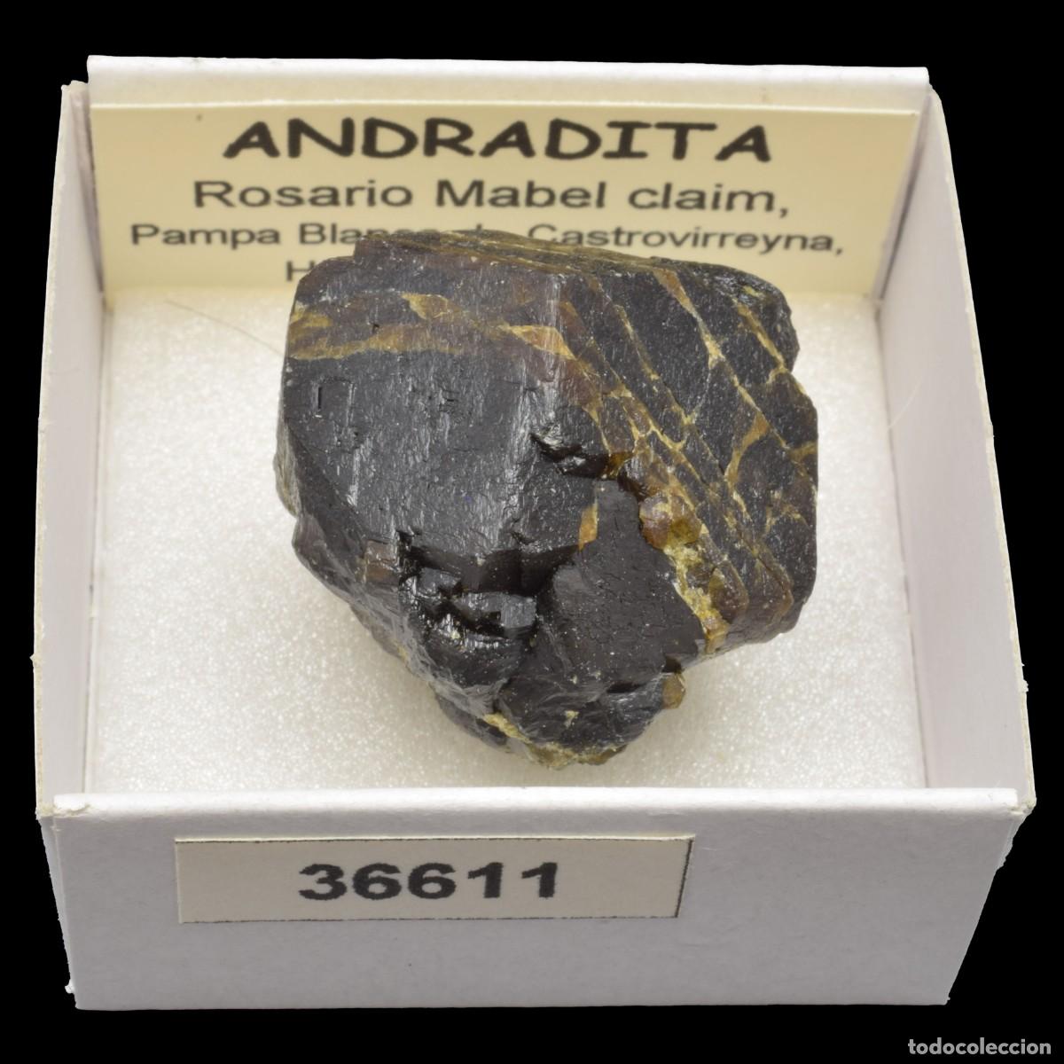 Coleccionismo de minerales: ANDRADITA (Rosario Mabel claim, Pampa Blanca dist., Huancavelica, Peru) #36611