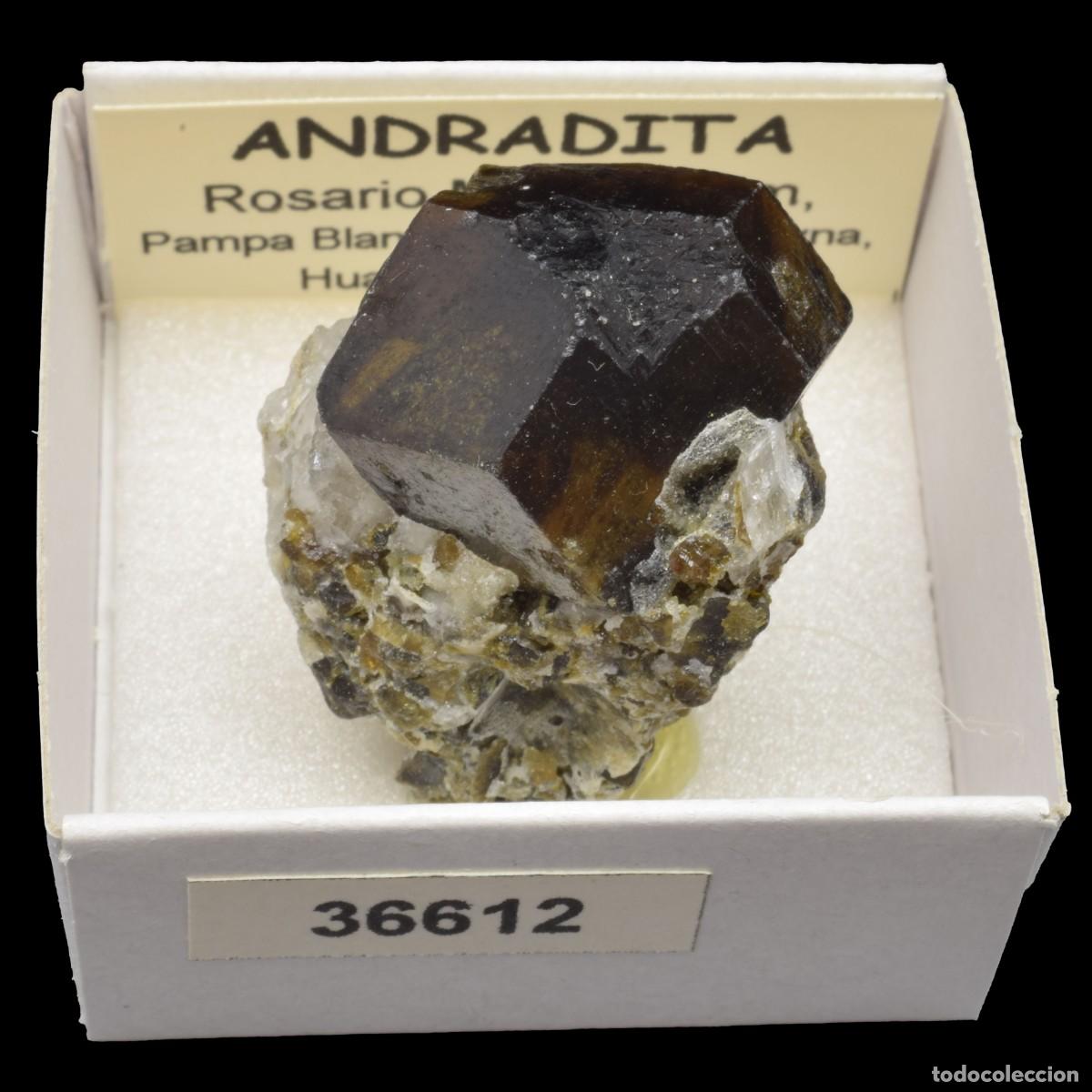 Coleccionismo de minerales: ANDRADITA (Rosario Mabel claim, Pampa Blanca dist., Huancavelica, Peru) #36612