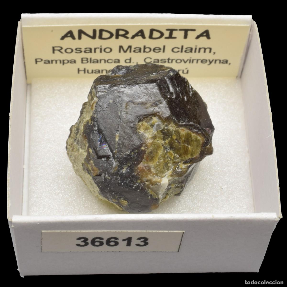 Coleccionismo de minerales: ANDRADITA (Rosario Mabel claim, Pampa Blanca dist., Huancavelica, Peru) #36613