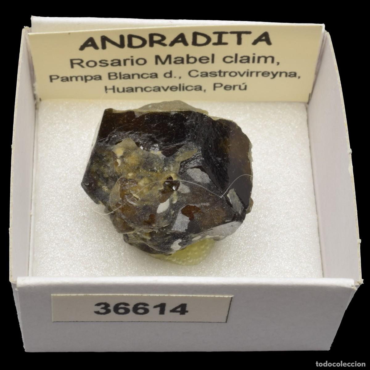 Coleccionismo de minerales: ANDRADITA (Rosario Mabel claim, Pampa Blanca dist., Huancavelica, Peru) #36614
