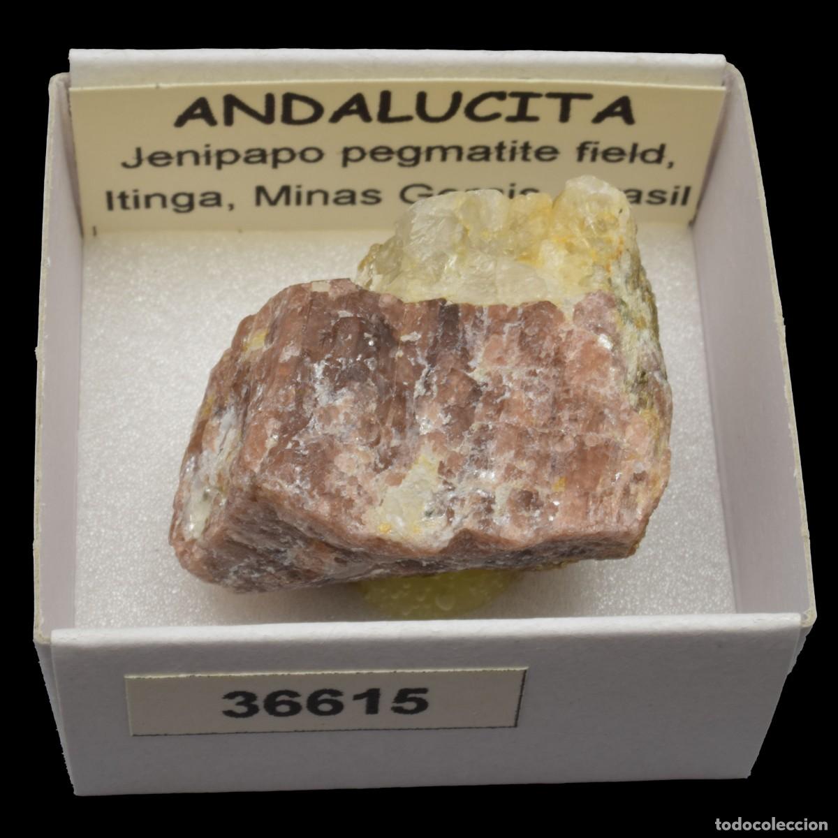 Coleccionismo de minerales: ANDALUCITA (Jenipapo pegmatite field, Itinga, Minas Gerais, Brasil) #36615