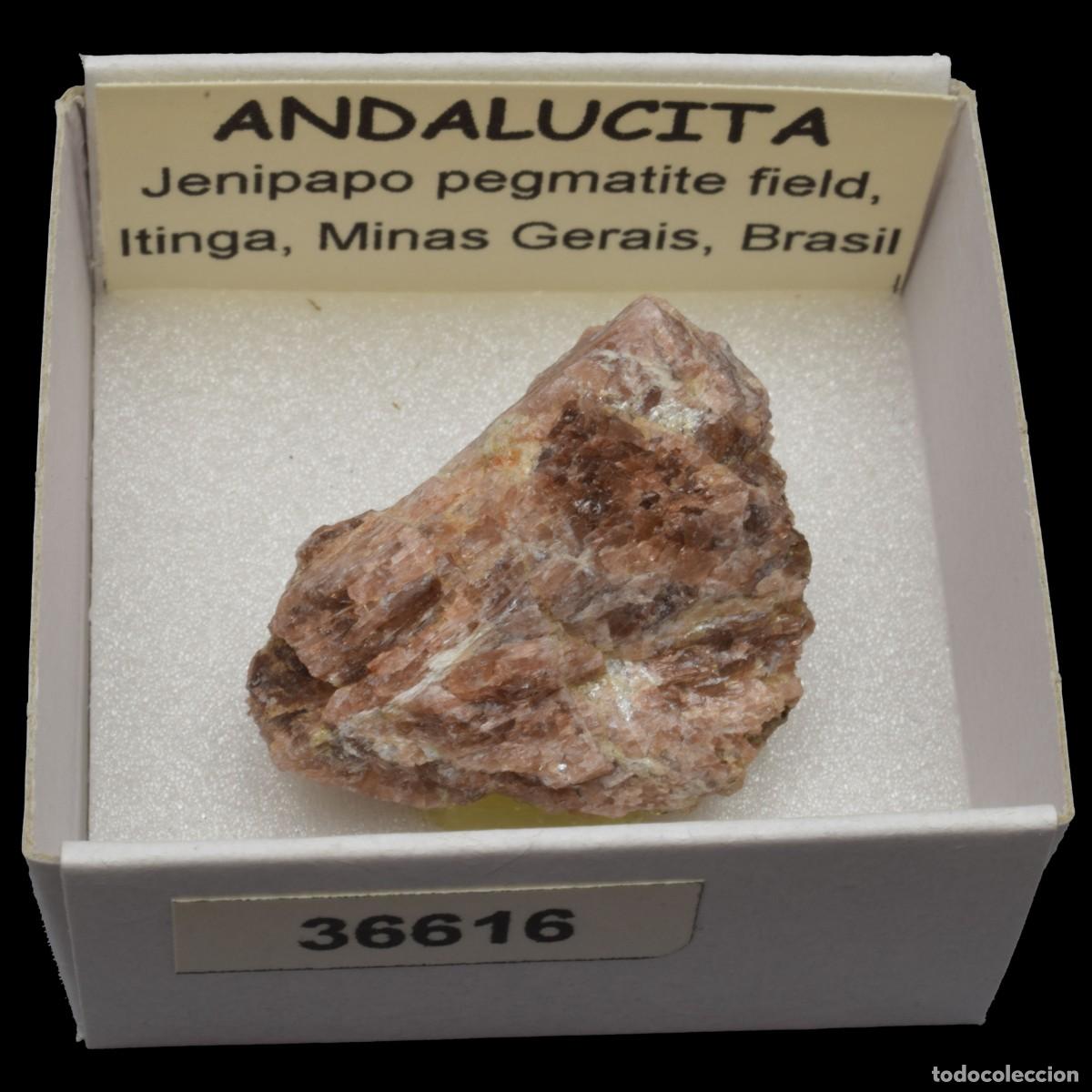 Coleccionismo de minerales: ANDALUCITA (Jenipapo pegmatite field, Itinga, Minas Gerais, Brasil) #36616