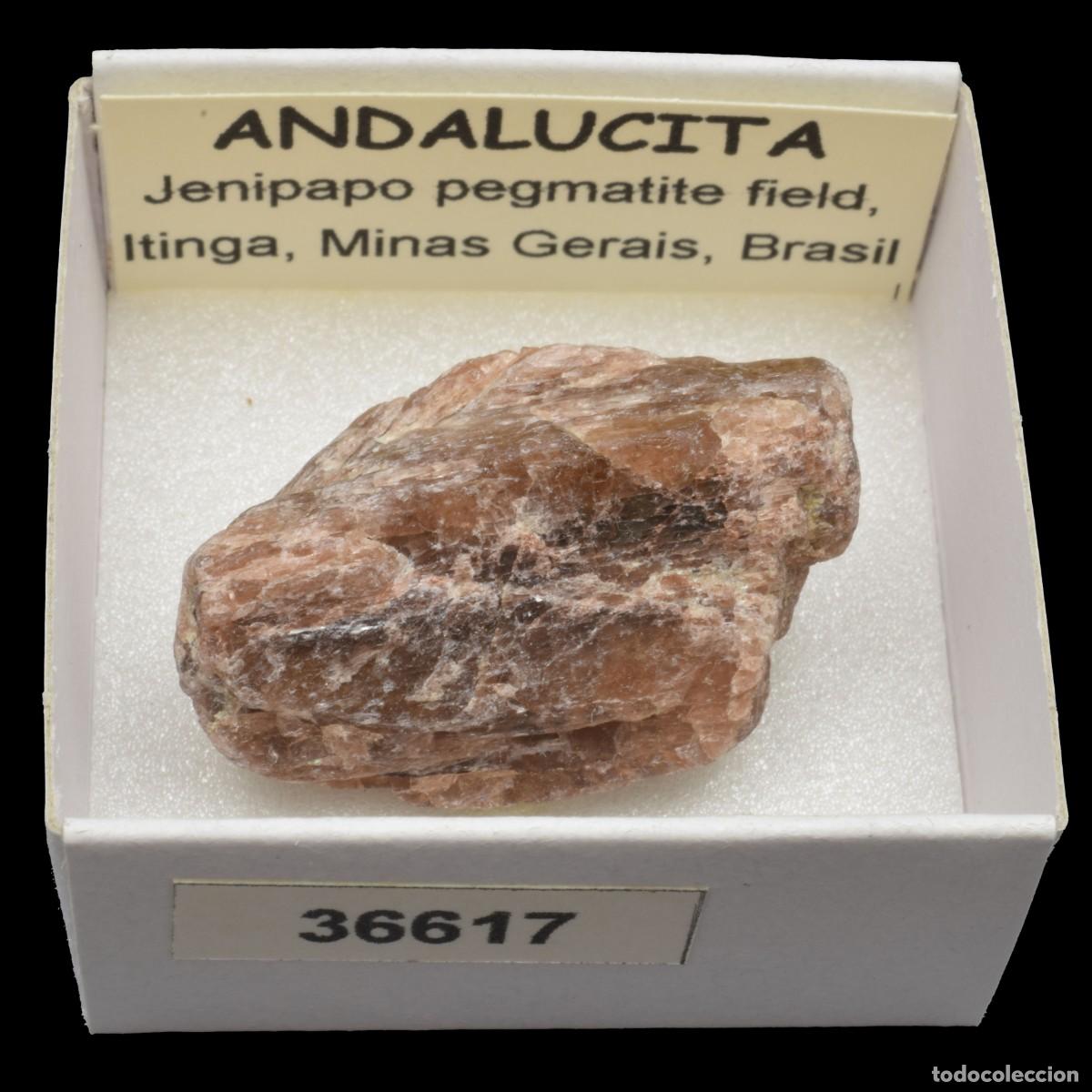 Coleccionismo de minerales: ANDALUCITA (Jenipapo pegmatite field, Itinga, Minas Gerais, Brasil) #36617