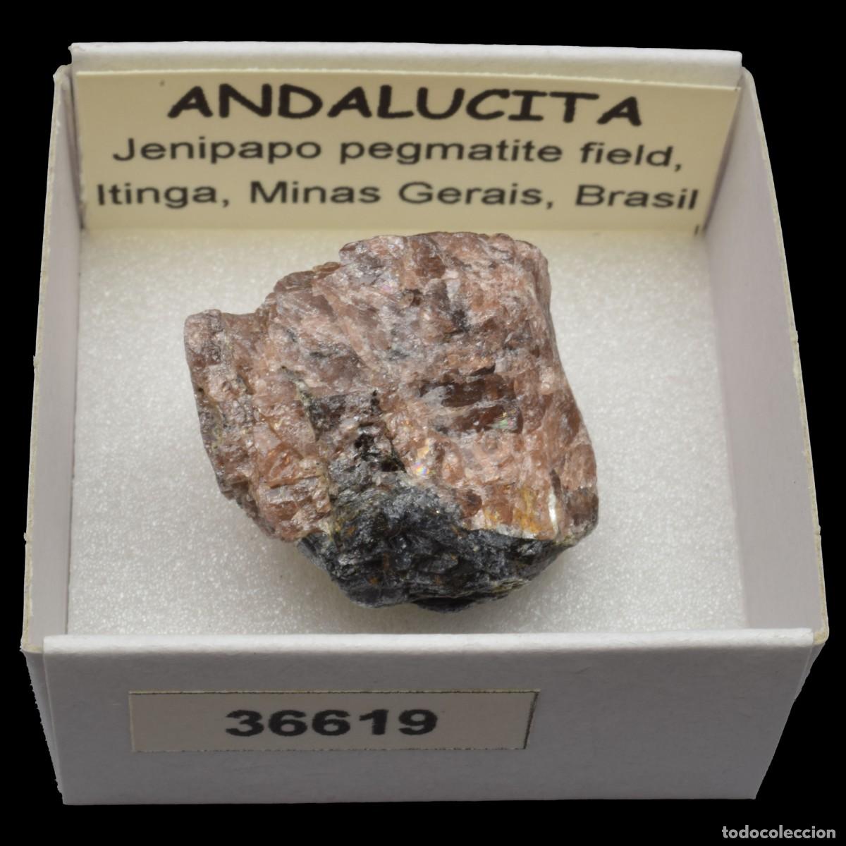 Coleccionismo de minerales: ANDALUCITA (Jenipapo pegmatite field, Itinga, Minas Gerais, Brasil) #36619