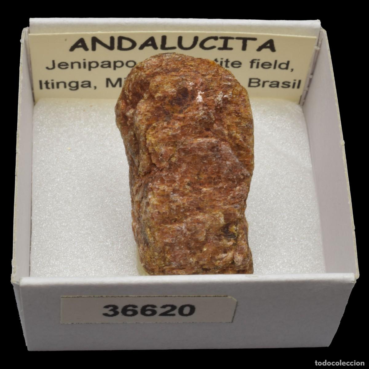 Coleccionismo de minerales: ANDALUCITA (Jenipapo pegmatite field, Itinga, Minas Gerais, Brasil) #36620