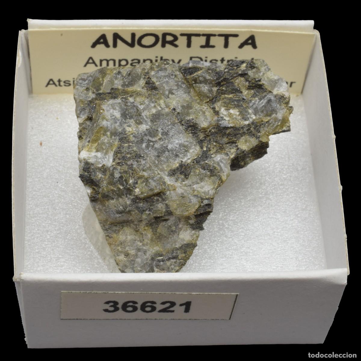 Coleccionismo de minerales: ANORTITA (Ampanihy District, Atsino-Andrefana, Madagascar) #36621