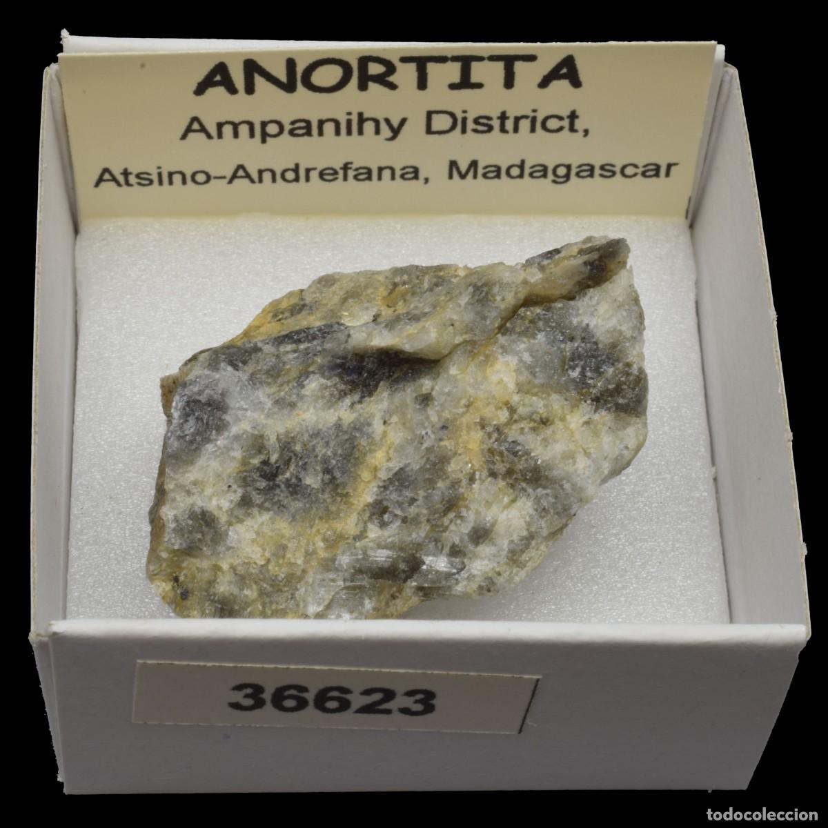 Coleccionismo de minerales: ANORTITA (Ampanihy District, Atsino-Andrefana, Madagascar) #36623