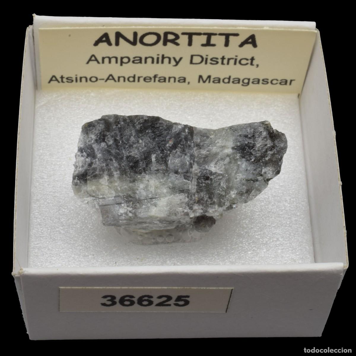 Coleccionismo de minerales: ANORTITA (Ampanihy District, Atsino-Andrefana, Madagascar) #36625