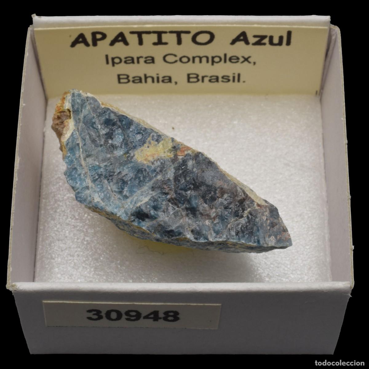 Coleccionismo de minerales: APATITO Azul (Ipara complex, Bahia, Brasil) #30948