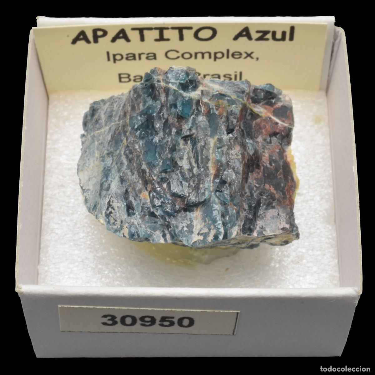 Coleccionismo de minerales: APATITO Azul (Ipara complex, Bahia, Brasil) #30950