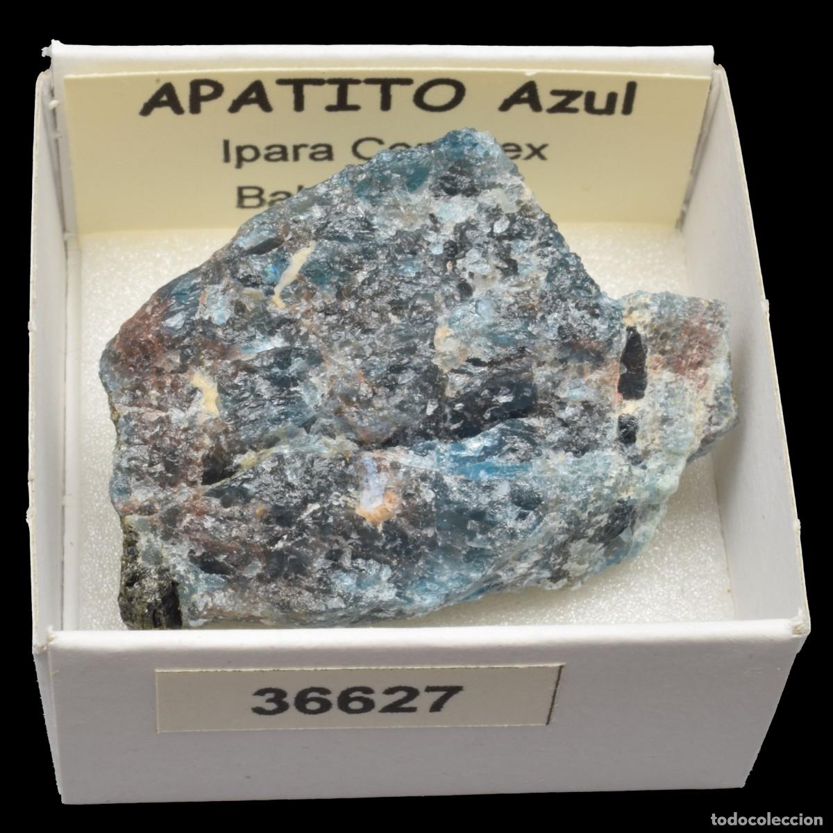 Coleccionismo de minerales: APATITO Azul (Ipara complex, Bahia, Brasil) #36627