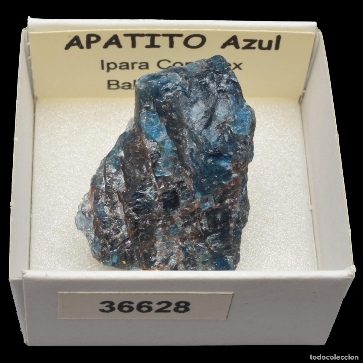Coleccionismo de minerales: APATITO Azul (Ipara complex, Bahia, Brasil) #36628