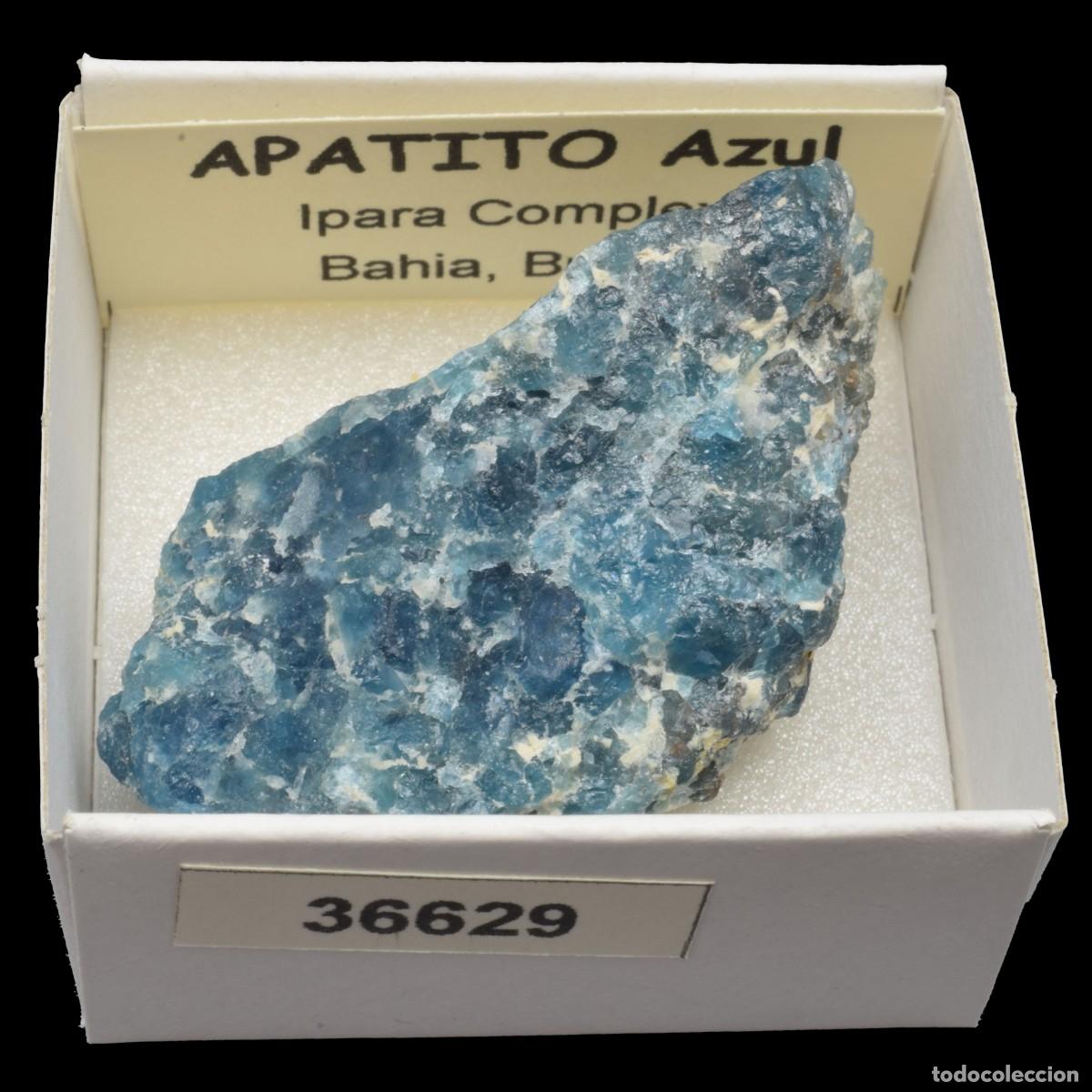 Coleccionismo de minerales: APATITO Azul (Ipara complex, Bahia, Brasil) #36629