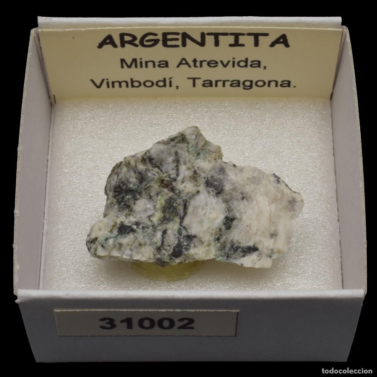 Coleccionismo de minerales: ARGENTITA (Mina Atrevida, Vimbodi, Tarragona, Espa&ntilde;a) #31002