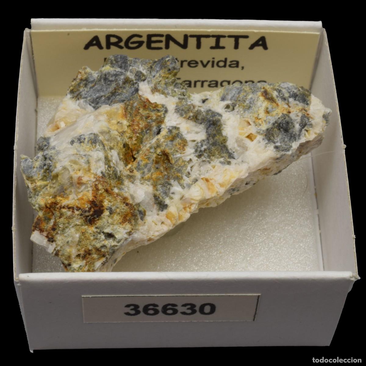 Coleccionismo de minerales: ARGENTITA (Mina Atrevida, Vimbodi, Tarragona, Espa&ntilde;a) #36630