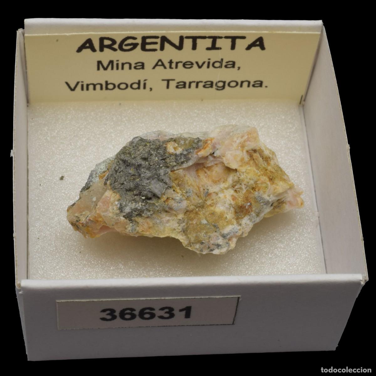 Coleccionismo de minerales: ARGENTITA (Mina Atrevida, Vimbodi, Tarragona, Espa&ntilde;a) #36631