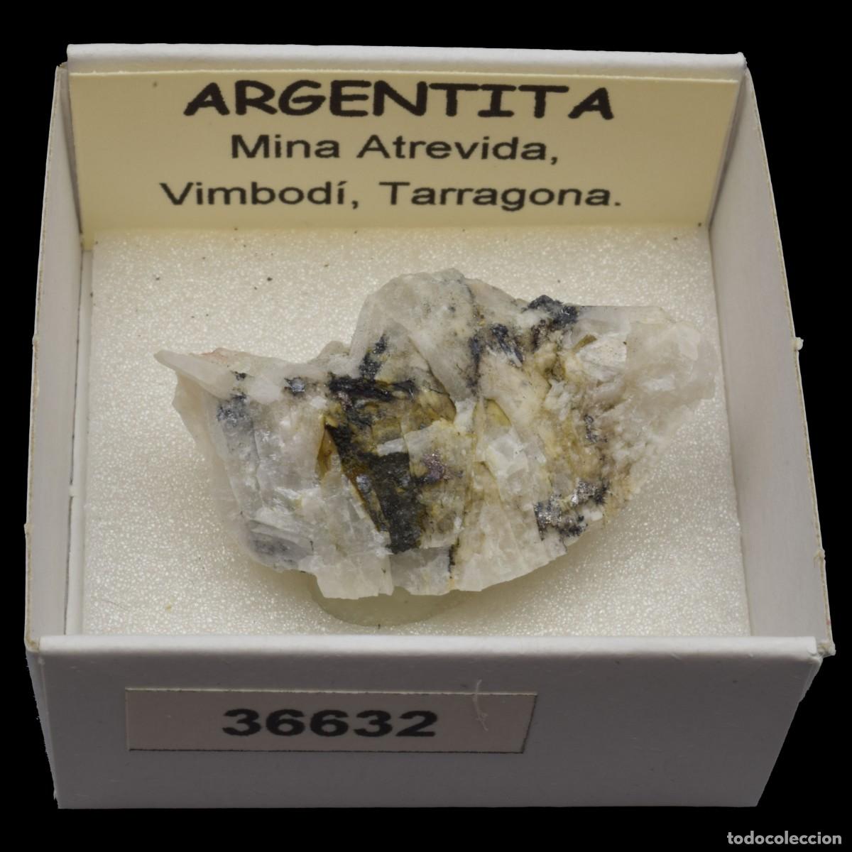 Coleccionismo de minerales: ARGENTITA (Mina Atrevida, Vimbodi, Tarragona, Espa&ntilde;a) #36632