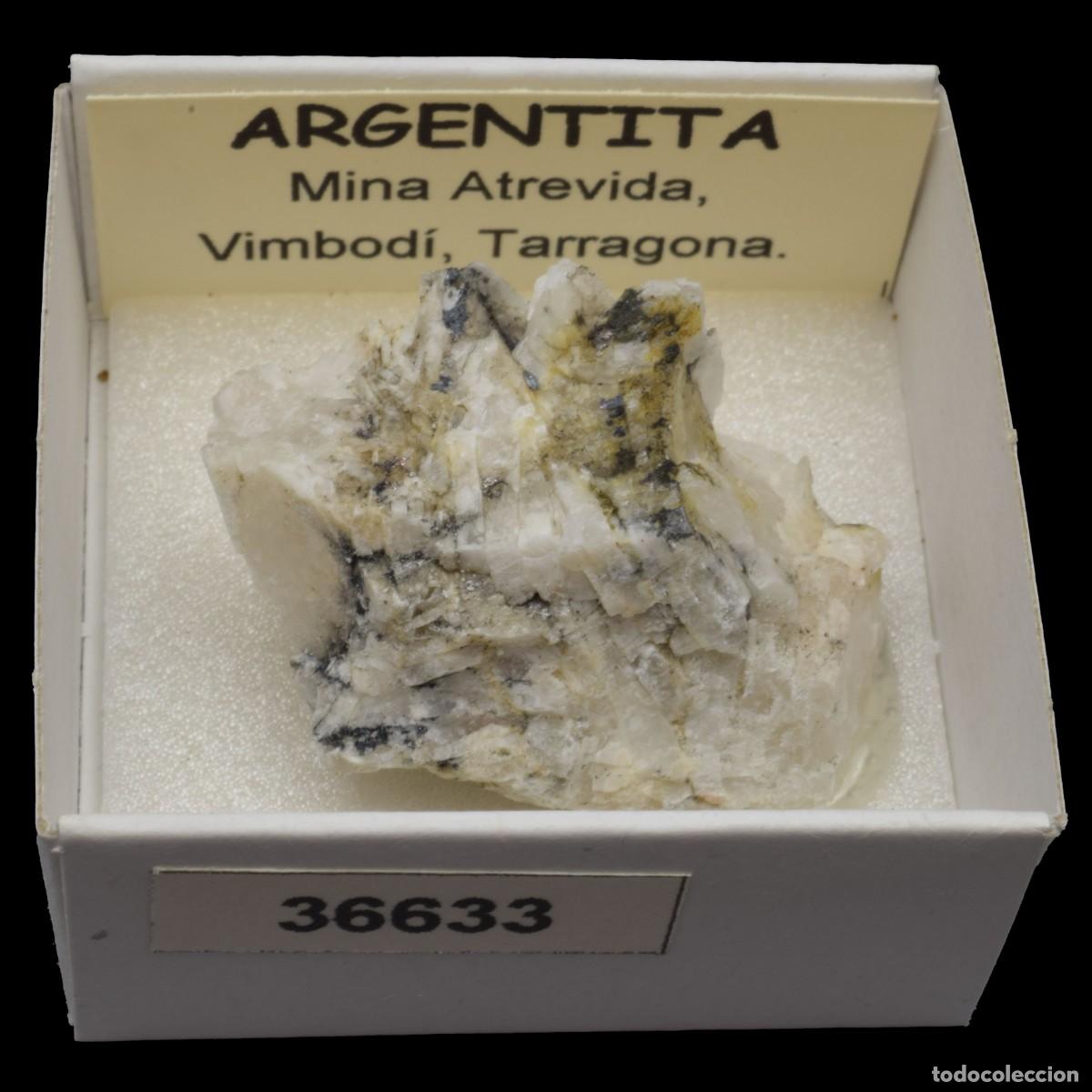 Coleccionismo de minerales: ARGENTITA (Mina Atrevida, Vimbodi, Tarragona, Espa&ntilde;a) #36633