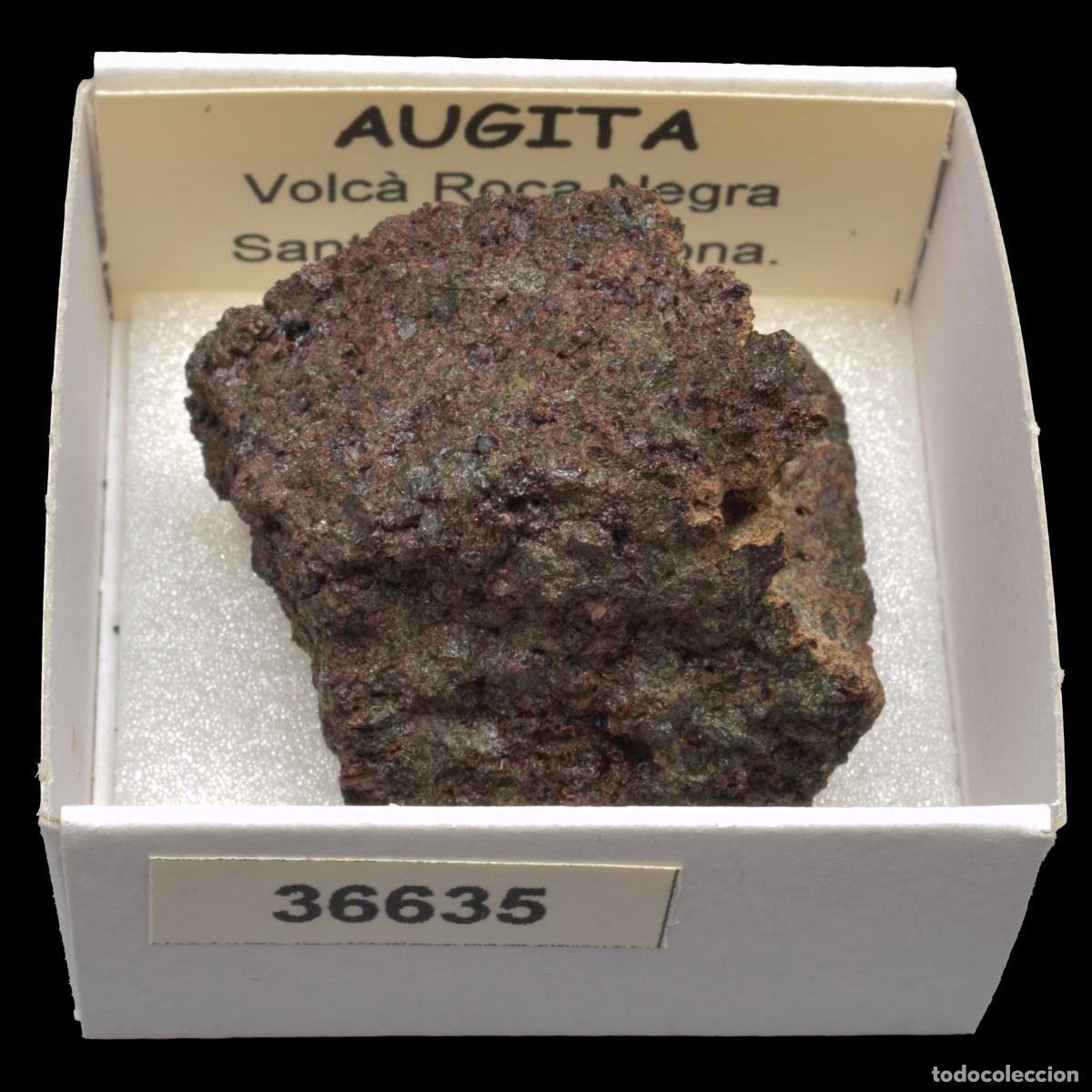 Coleccionismo de minerales: AUGITA (Volca Roca Negre, Santa Pau, Girona, Espa&ntilde;a) #36635