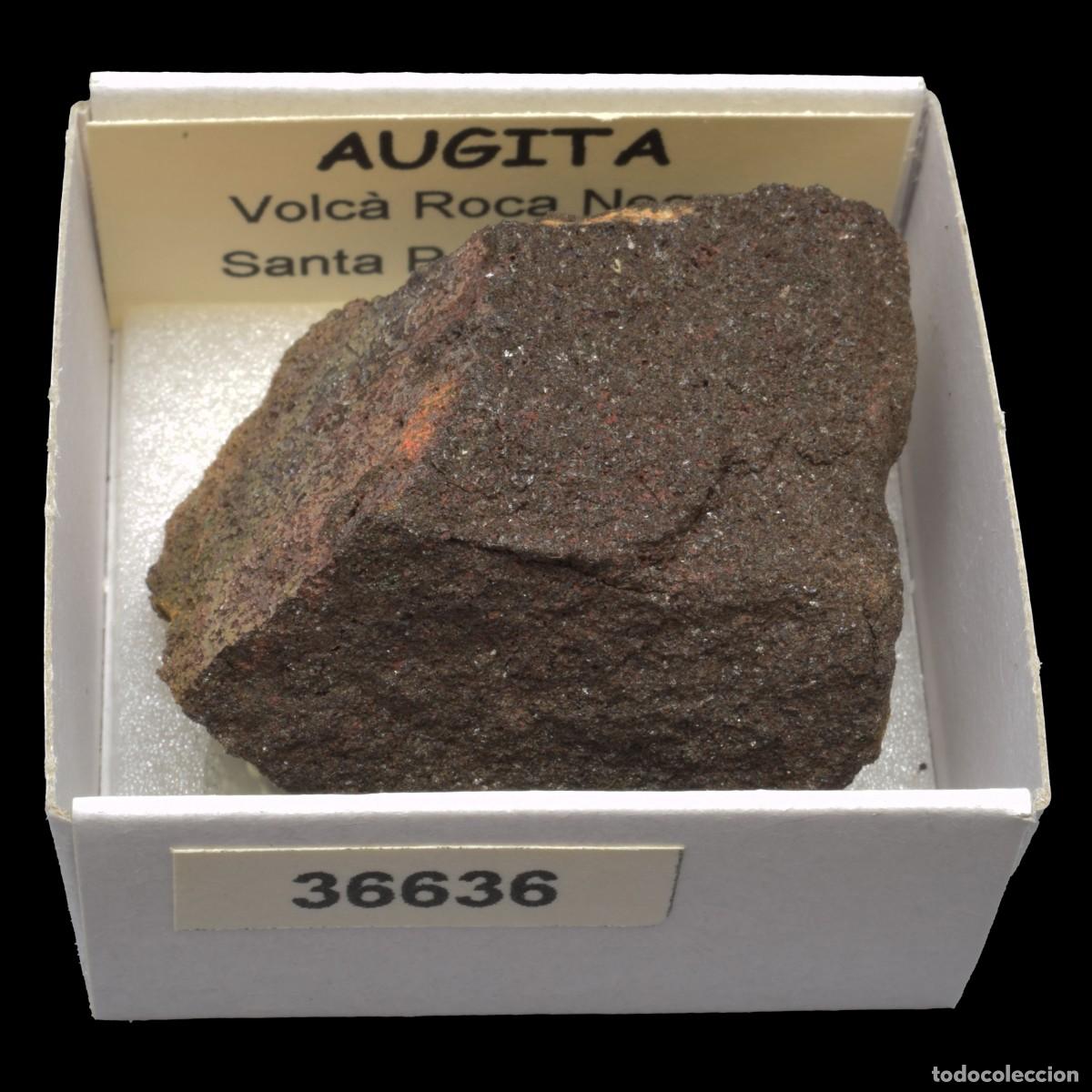 Coleccionismo de minerales: AUGITA (Volca Roca Negre, Santa Pau, Girona, Espa&ntilde;a) #36636
