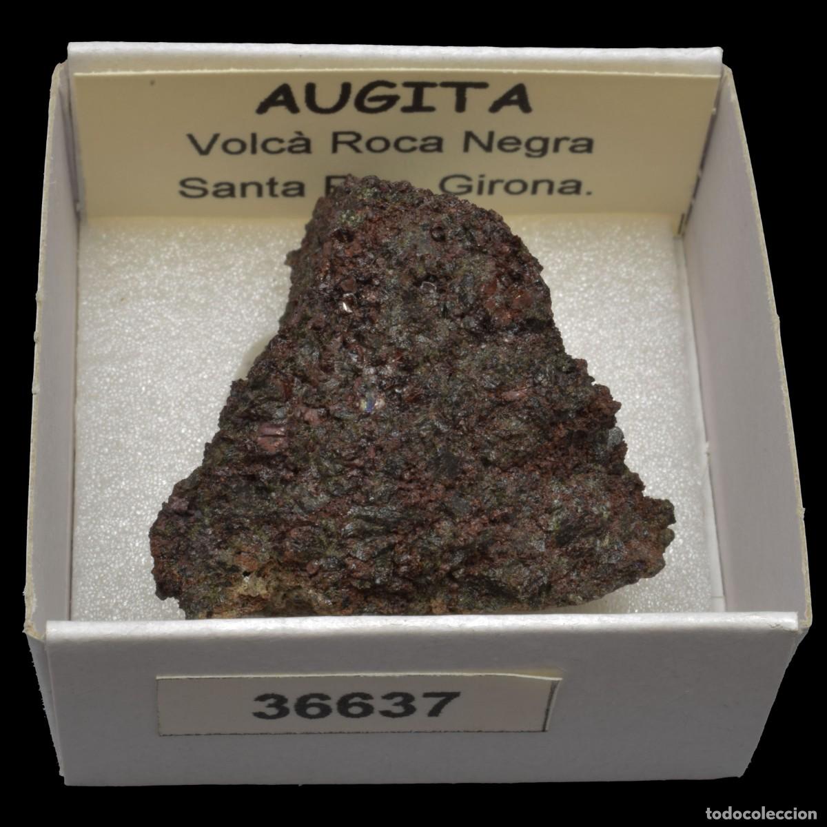Coleccionismo de minerales: AUGITA (Volca Roca Negre, Santa Pau, Girona, Espa&ntilde;a) #36637