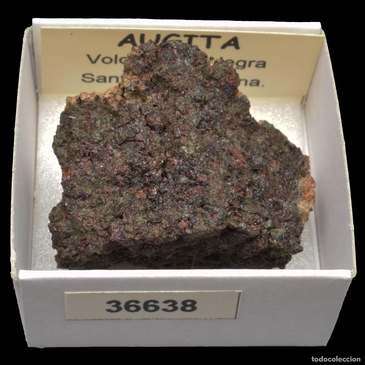 Coleccionismo de minerales: AUGITA (Volca Roca Negre, Santa Pau, Girona, Espa&ntilde;a) #36638