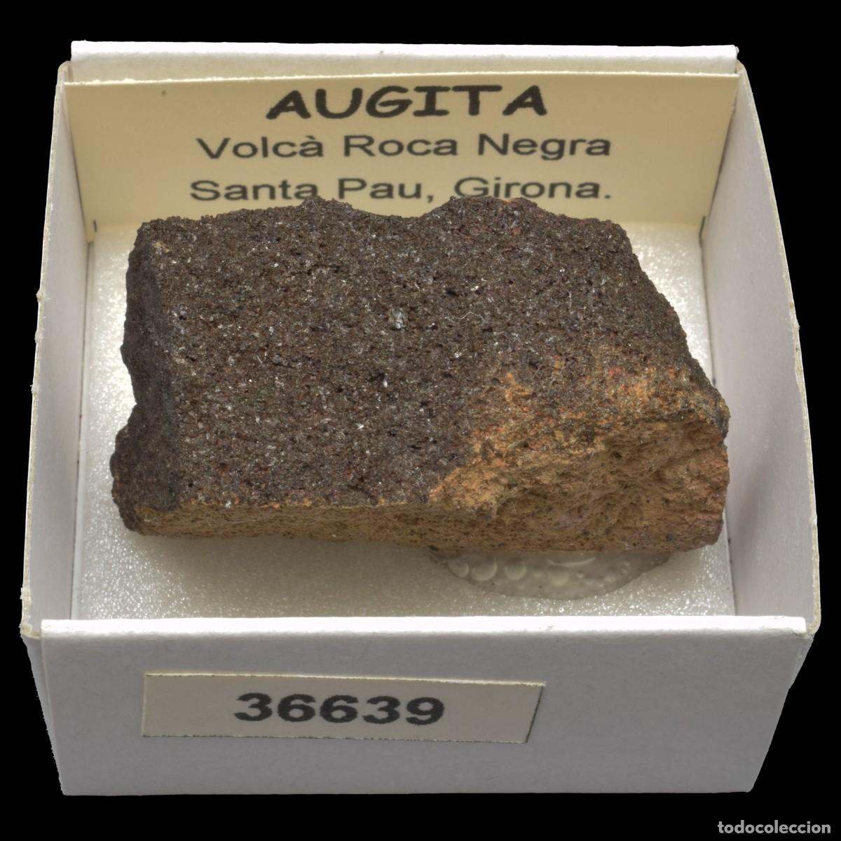 Coleccionismo de minerales: AUGITA (Volca Roca Negre, Santa Pau, Girona, Espa&ntilde;a) #36639