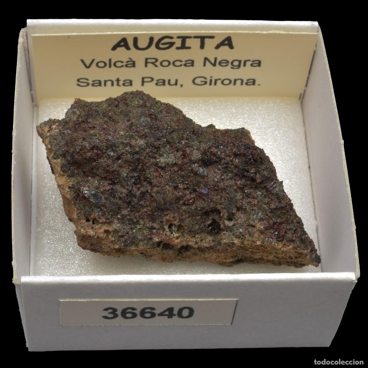 Coleccionismo de minerales: AUGITA (Volca Roca Negre, Santa Pau, Girona, Espa&ntilde;a) #36640