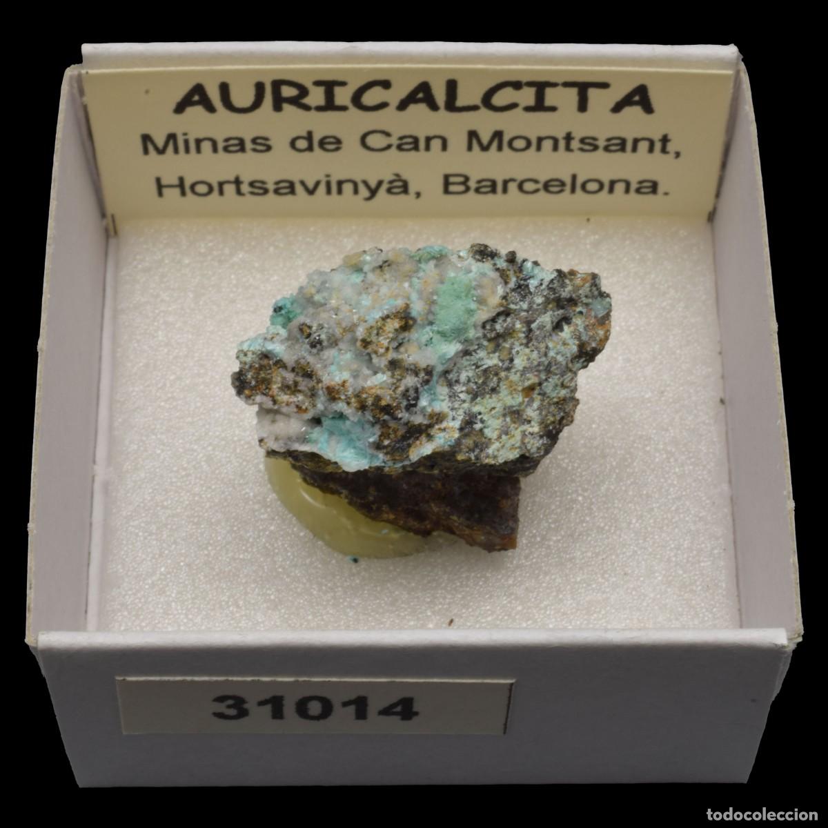 Coleccionismo de minerales: AURICALCITA (Minas de Can Montsant. Hortsavinya, Barcelona, Espa&ntilde;a) #31014