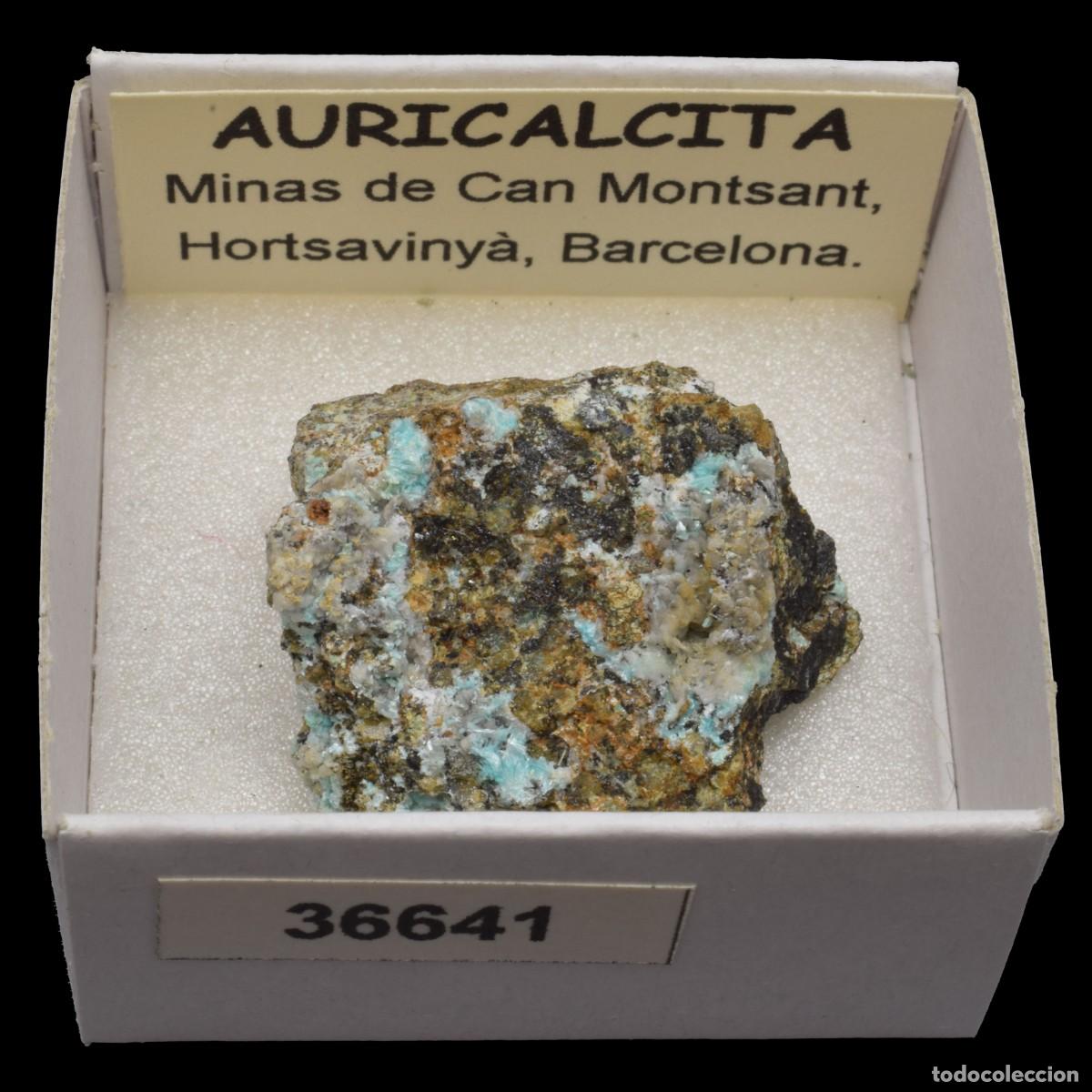 Coleccionismo de minerales: AURICALCITA (Minas de Can Montsant. Hortsavinya, Barcelona, Espa&ntilde;a) #36641