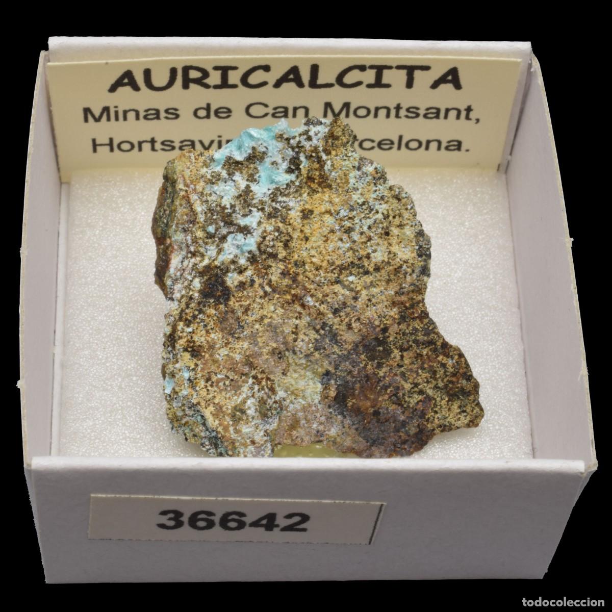 Coleccionismo de minerales: AURICALCITA (Minas de Can Montsant. Hortsavinya, Barcelona, Espa&ntilde;a) #36642