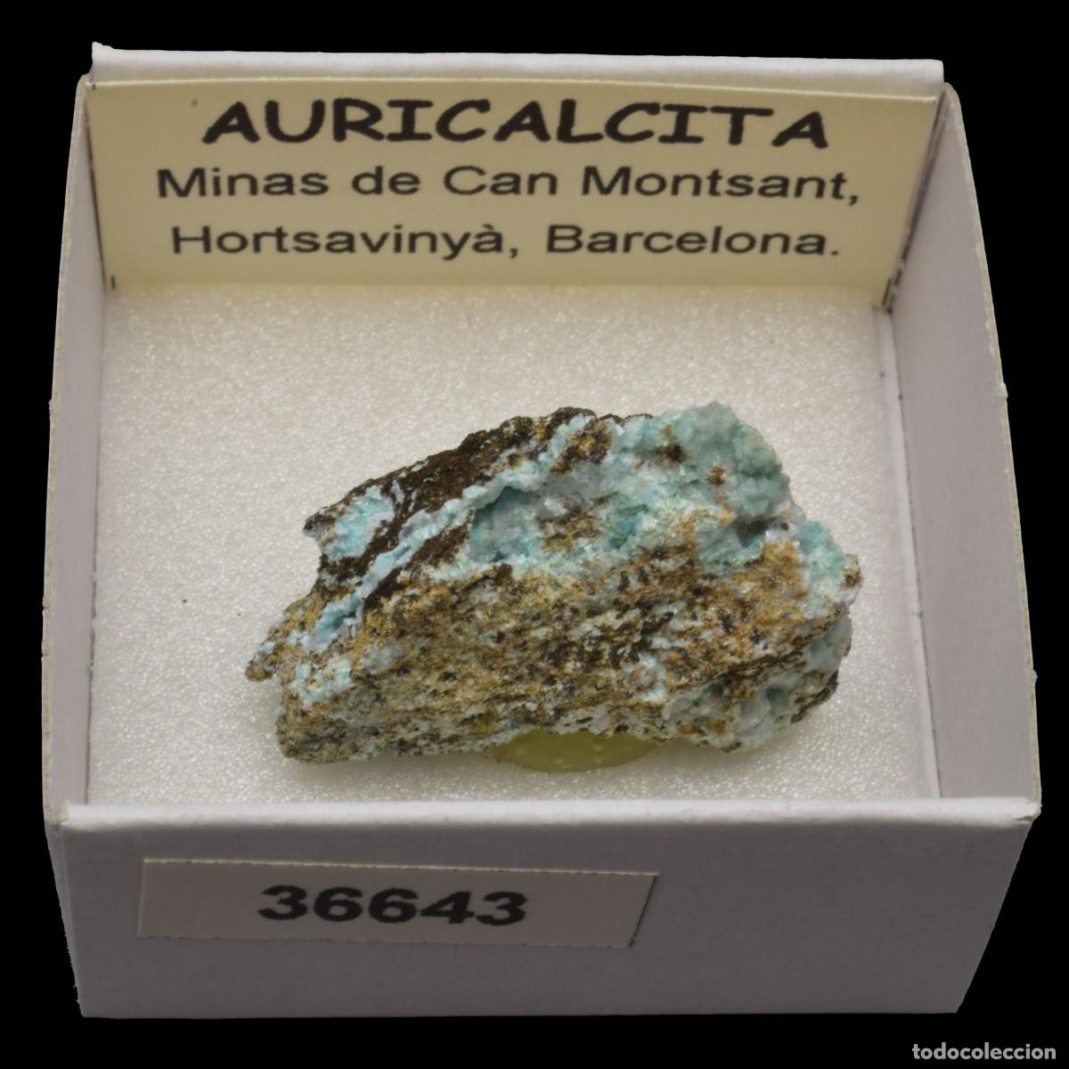 Coleccionismo de minerales: AURICALCITA (Minas de Can Montsant. Hortsavinya, Barcelona, Espa&ntilde;a) #36643