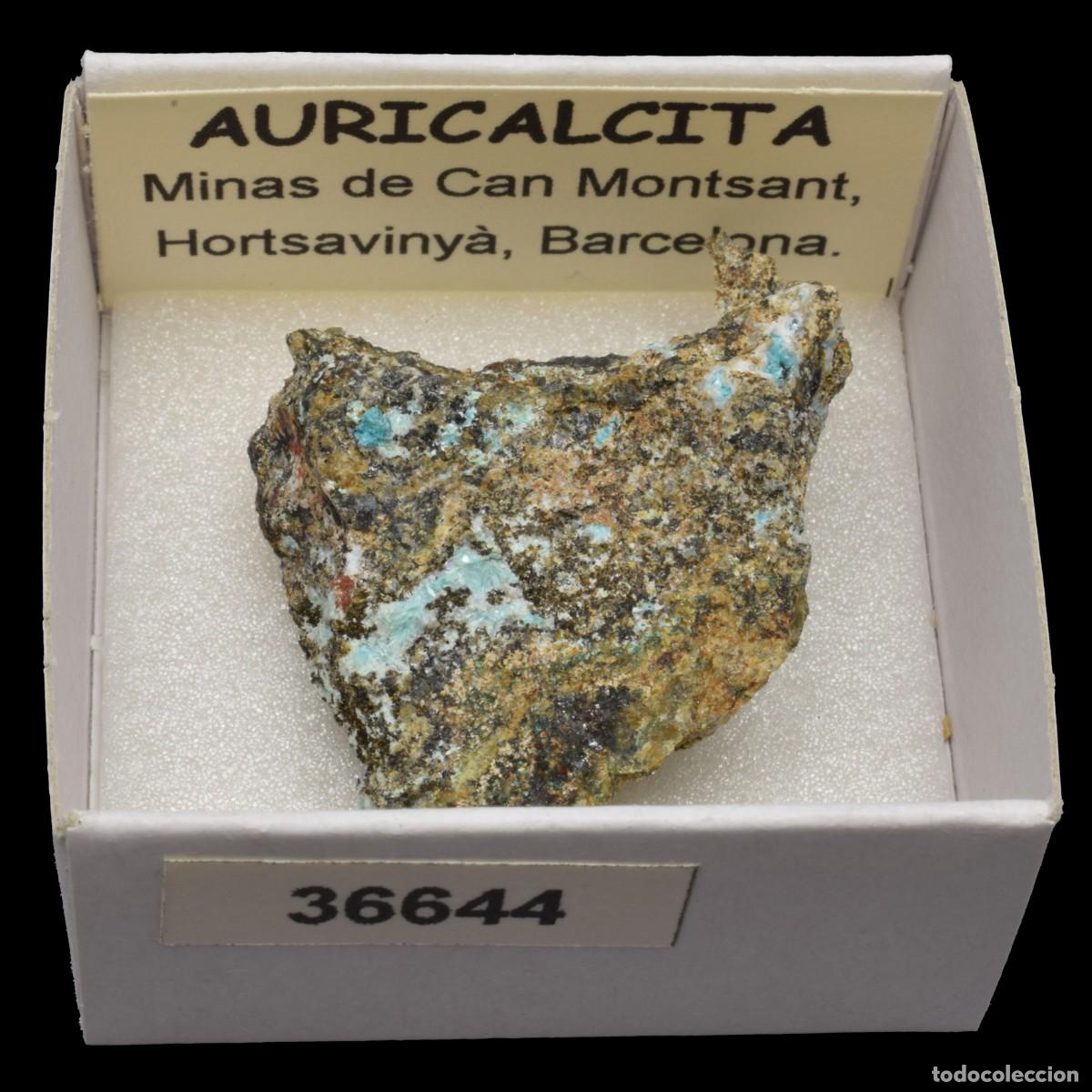 Coleccionismo de minerales: AURICALCITA (Minas de Can Montsant. Hortsavinya, Barcelona, Espa&ntilde;a) #36644