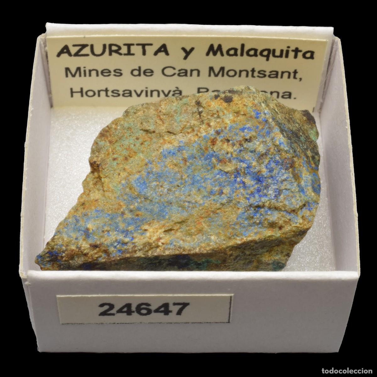 Coleccionismo de minerales: AZURITA - MALAQUITA (Mines de Can Montsant, Hortsavinya, Barcelona, Espa&ntilde;a) #24647