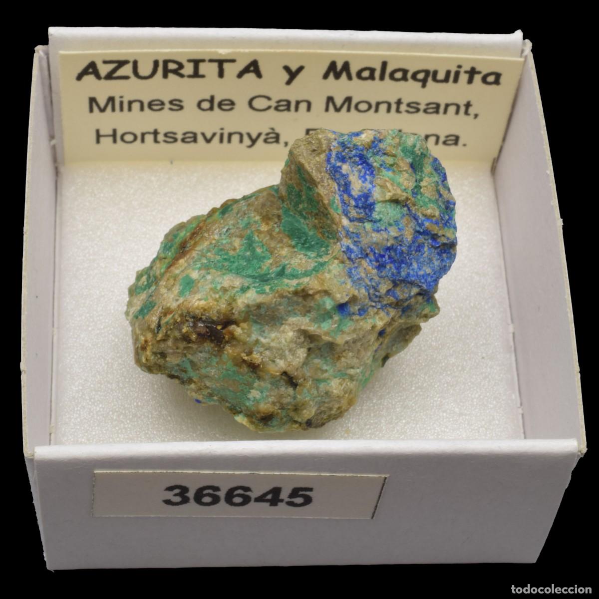 Coleccionismo de minerales: AZURITA - MALAQUITA (Mines de Can Montsant, Hortsavinya, Barcelona, Espa&ntilde;a) #36645