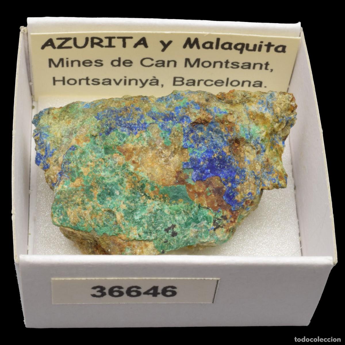 Coleccionismo de minerales: AZURITA - MALAQUITA (Mines de Can Montsant, Hortsavinya, Barcelona, Espa&ntilde;a) #36646