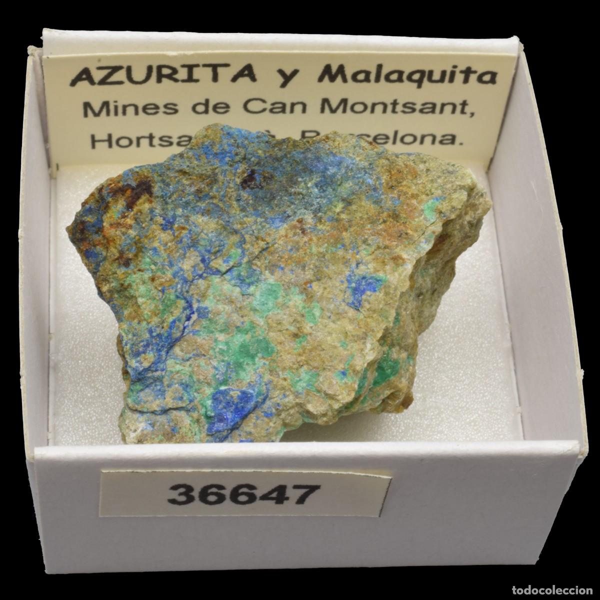 Coleccionismo de minerales: AZURITA - MALAQUITA (Mines de Can Montsant, Hortsavinya, Barcelona, Espa&ntilde;a) #36647
