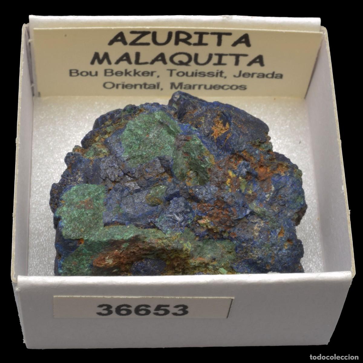 Coleccionismo de minerales: AZURITA - MALAQUITA (Bou Bekker, Touissit, Jerada Oriental, Marruecos) #36653