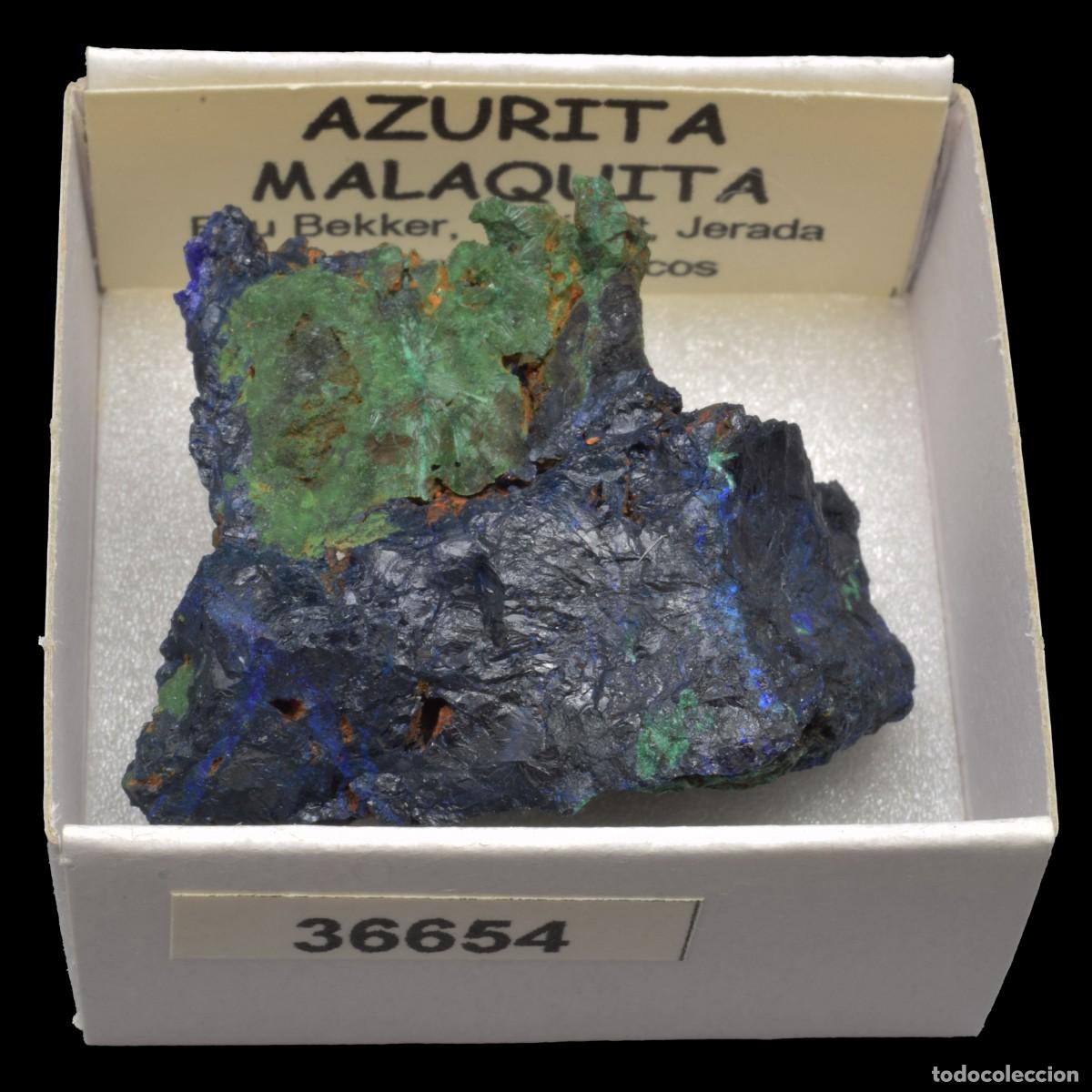 Coleccionismo de minerales: AZURITA - MALAQUITA (Bou Bekker, Touissit, Jerada Oriental, Marruecos) #36654